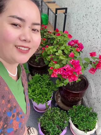 西藏包邮#好物推荐🔥 #爱生活爱养花