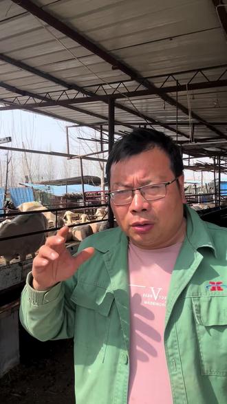 春季不驱虫,钱都喂了虫 #养羊人 #驱虫 #牛羊养殖 #主打的就是一个真实 #养羊