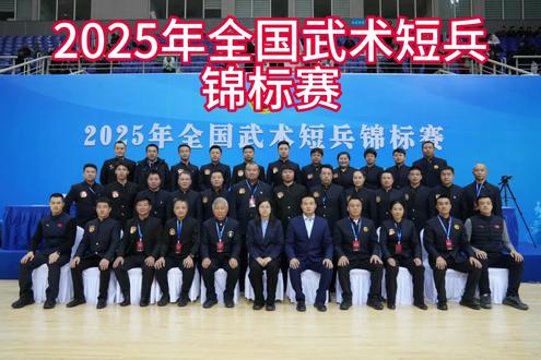 2025年全国武术短兵锦标赛#体育精神 #竞技体育