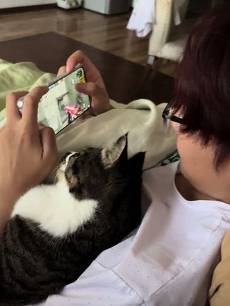 我小妹现在除了壮壮、还有好多小朋友陪她玩😄#猫咪的迷惑行为 #穿越火线手游 #穿越火线