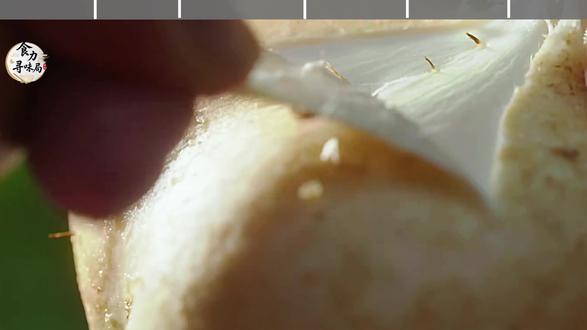 食物界最纠结的存在,在蔬菜和水果之间反复横跳! #凉薯 #广西美食 #地方特色美食 #吃法多样#青年创作者扶持