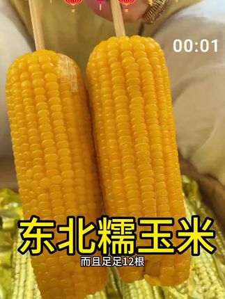 好吃又划算的东北头茬黄糯玉米#玉米#黄糯玉米#郭桠琪#郭俊熙#龙凤胎兄妹