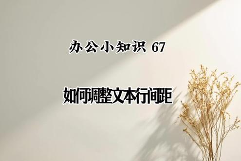 #word实用技能 如何调整文本行间距