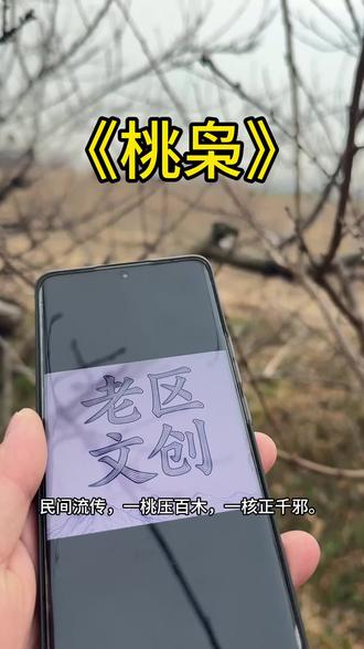 26年正月初一午时采摘野生东南枝桃枭实录,很多朋友还不了解桃枭是什么,有什么作用,现在给大家介绍一下。#省流科普 #冷知识 #桃枭 #科普#冷知识