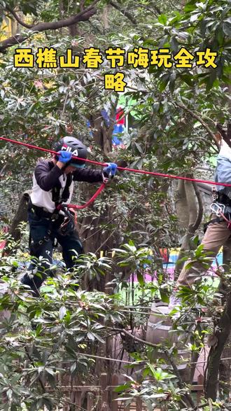 春节去哪玩?快到西樵山吧飞越树上探险乐园!8大线路等您来挑战,春节期间,年初一到初五,还有每天三场小丑魔术、川剧变脸、二