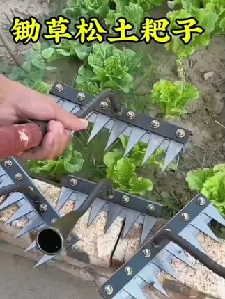 多功能除草耙子 加厚多功能钢耙搭配带刀片的锄头,能同步完成割草与松土,大大提升作业效率。这款可拆卸钉耙更是亮点十足,除草干净利落,松土也毫不费力。有了这两款工具,田间除草不再棘手,土地能快速变得松软肥沃,为农作物生长创造优良条件,堪称农耕好帮手。#钢铁耙子 #七齿钢耙子 #农用工具#支持三农扶持三农发展 #省时省力效率高