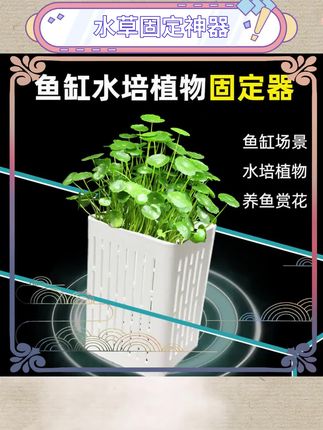 鱼缸造景必备!这款水培固定篮轻松搞定水草和绿萝的种植,壁挂式设计不占空间,让鱼缸瞬间提升颜值🌿🐟 #鱼缸造景 #水草种植 #家居好物 #养鱼必备