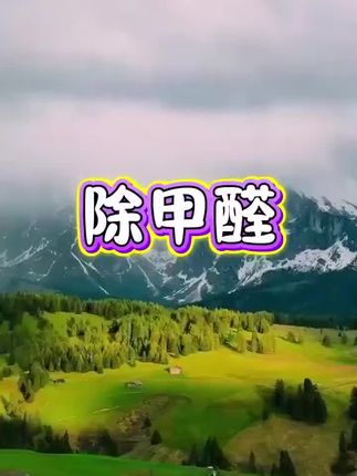 #除甲醛