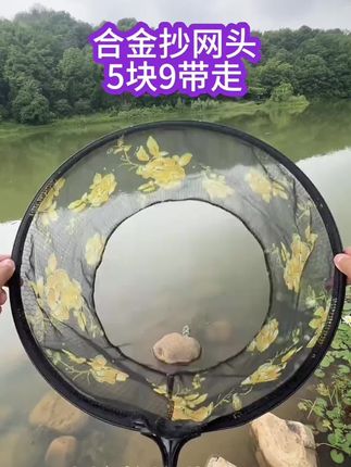 合金抄网头,超高性价比#好物推荐🔥 #户外垂钓 #户外装备 #爱钓鱼 #钓鱼人