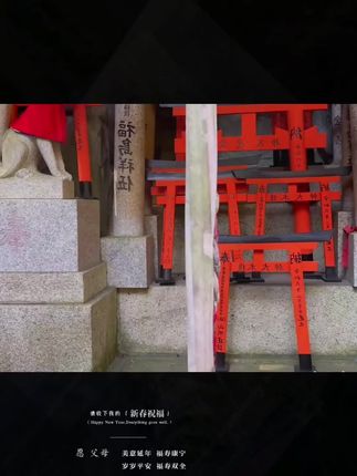 #狗