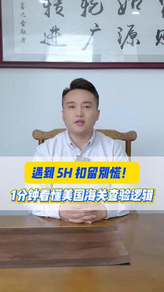 遇到 5H 扣留别慌!1分钟看懂美国海关查验逻辑#跨境电商 #国际贸易 #海关查验
