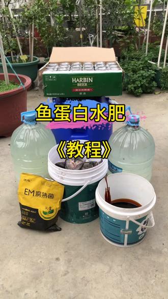 今天又制作一桶鱼蛋白水肥。顺便给大家出个如何制作鱼蛋白水肥的教程。鱼蛋白富含氨基酸、 多肽、 矿物质、维生素、生物活性物质等。鱼蛋白水肥6大功效。1. 改善土壤结构2. 增强作物抗逆性3. 促进作物生长4. 提高作物产量5. 改善作物品质6. 降解农药残留。#鱼蛋白水溶肥 #鱼蛋白发酵技术 #鱼蛋白肥的功效与作用 #技术分享 #支持原创