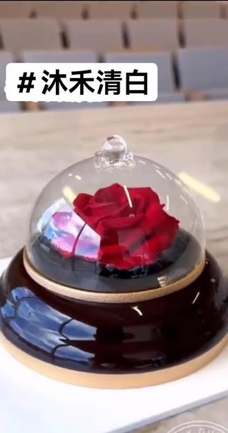 《沐禾清白》#小说推文 #评分9.5的小说