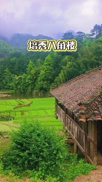 培秀村八角楼,听说就要拆了,有多么的不舍啊!这栋吊脚楼不知道承载着多少学子的美好记忆,我们小学启蒙班是从这里开始的,那时学生很多,一年级还分甲、乙班呢,那时老师很严,所以这栋八角楼出了好几个大学生,曾因此名扬各乡,如今,就要拆掉了,曾在这栋八角楼教书、读书的老师同学们,大家有何看法呢?欢迎评论区交流,,,#培秀八角楼 #童年美好的回忆