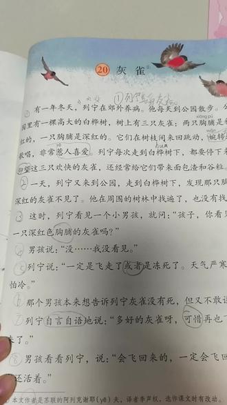 学习日记,语文第六单元朗读《灰雀》