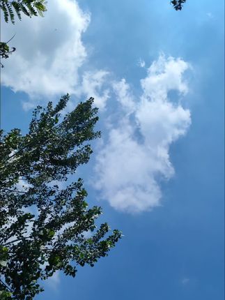 今天梦秋把自己的手用车门夹破了,看着又心疼又生气#旅行 #记录真实生活 #中秋 #月饼 #助农