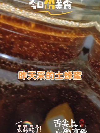 #纯天然无添加 #农家土蜂蜜 #野生蜂蜜纯天然的养生黄金
