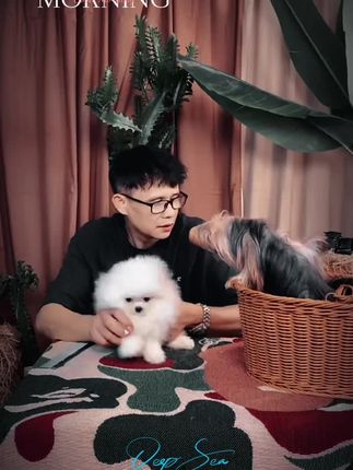 #直播间 #宠物直播间 #宠物vlog #萌宠出道计划