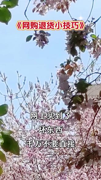 网购退货小技巧
#日常分享#生活小常识 #网购 #退货 #技巧