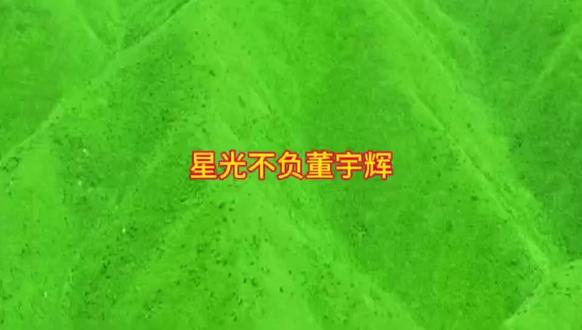 星光不负董宇辉 #董宇辉 #与辉同行 #兰知春序 #商战#涨知识