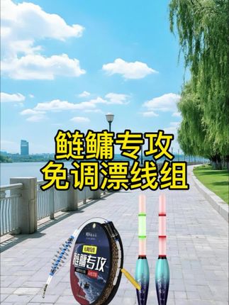 夜光新型手竿免调漂弹簧线组#主线组 #免调漂线组 #鱼线主线推荐 #浮钓鲢鳙