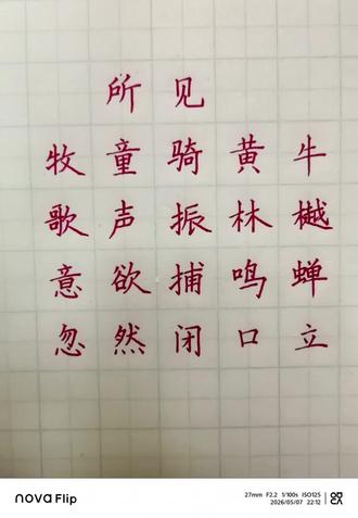 一首充满画面感的古诗,硬笔手写太治愈了 #练字静心随笔 #小学语文古诗词书写 #写字是一种生活 #硬笔书法