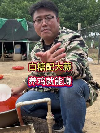 白糖配大蒜,养鸡就能赚#养鸡人 #养鸡 #蛋鸡养殖 #肉鸡养殖#农村养鸡