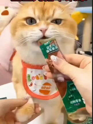 #益生元猫草果冻,掉毛季到了一定要帮助猫咪温和排毛#宠物零食推荐 #好物推荐🔥