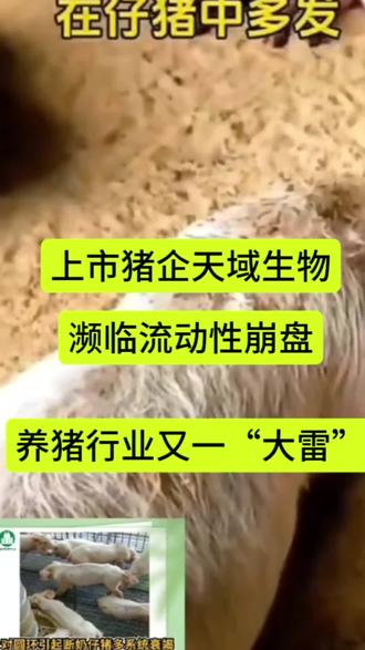 上市猪企天域生物濒临流动性崩盘!养猪行业又一“大雷”!#养猪#猪企爆雷#养猪人加油干#养猪人