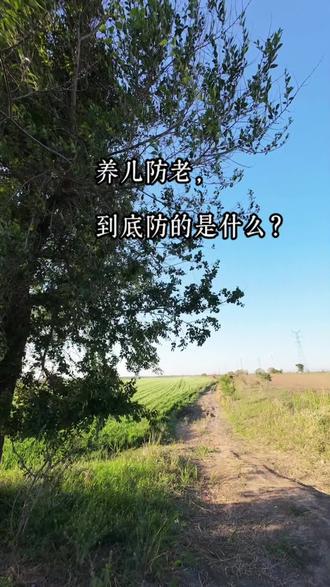 网上都说养儿是负债,是建设银行。其实他们都没说对。养儿防老,到底防的是什么?听听这位农村大叔的大实话,句句扎心,道出了多少父母的心声#情感共鸣 #养儿 #父母 #人生感悟 #治愈系