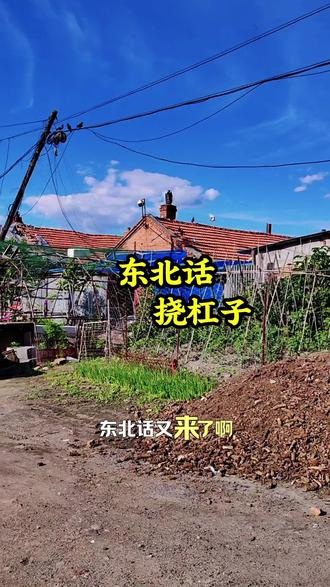 东北话你还会吗? 东北方言 东北话#东北话#东北人#东北方言