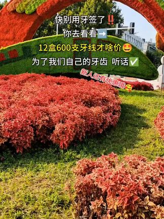 #牙线#牙齿健康 #口腔健康 #好东西一起分享 #好便宜好划算