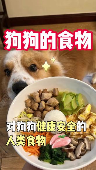 对狗狗健康特别有好处的人类食物🥘
#养狗经验分享 #养狗日常 #新手养狗