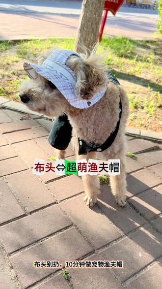 不用复杂打版,家里剩的碎布头、旧衣服就能做,手残党闭眼冲❗️#宠物手工 #布头改造 #宠物衣服制作 #萌宠好物 #新手缝纫