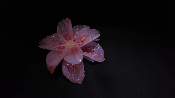 宝宝们想要的教程来啦 能给它取个名字吗#热门话题 #拼豆 #拼豆图纸 #拼豆教程 #拼豆日常