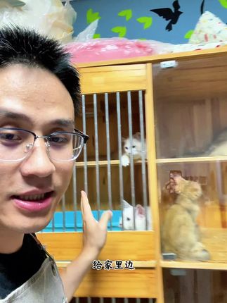 猫狗内外一体驱虫同驱 一起来给毛孩子做驱虫吧,简单方便省心。内外一体不用反复吃内驱。#虱子#跳蚤#蜱虫#耳螨#驱虫