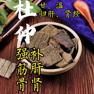 第38集 | 本草想要对你说 |杜仲:杜仲树干燥的树皮,以补肝肾见长。#中草药#腰腿痛#养生#杜仲#药酒