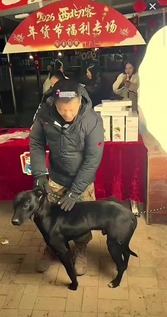 #西北刀客 #西北刀客大可乐 一早上起来就看到了大可乐没了的噩耗,前两天录的视频,它不仅是重托,也是姨姨们的希望,好遗憾,爱跟着老吴的大保镖,倒在了奔向春天的路上……@西北刀客-机油手 @西北刀客-公益护农 @西北刀客-吴队