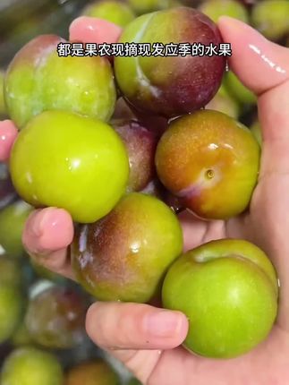 这个四川的脱骨李真的是太脆了,又脆又甜了。不是所有的李子都是四川脱骨李哦。#李子 #脱骨李 #半边红 #又到了吃李子的季节 #口感特别好