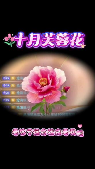 -十二花信,岁岁芬芳
- 以花赠你,岁岁欢喜
- 温柔有光,自在绽放
- 花信已至,美好如期
#花开正好微风不燥 #女神节快乐