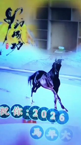我这次发的作品使用十二生肖用歌声来㊗️福所有的家人们在2026年新的马🐴年里平安健康!财源滚滚!快乐开心每一天