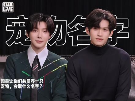 我是你们的小狗——star#雪纳瑞 #小狗 #小狗的爱是永远的