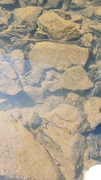 我不行了,快手账号被封了,只能玩抖音来了。