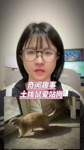 土拨鼠爱站岗#宠物#土拨鼠#可爱