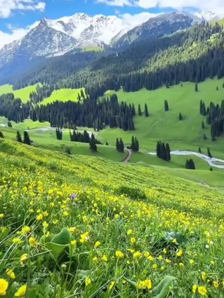 #面料超级舒服 #高档大气上档次 #高级感穿搭 #穿出自己的风格 #谁穿谁好看系列