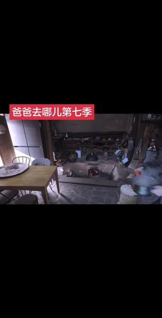 欢迎收看爸爸去哪儿之cortis篇
#cortis#爸爸去哪儿#新春快乐#父爱