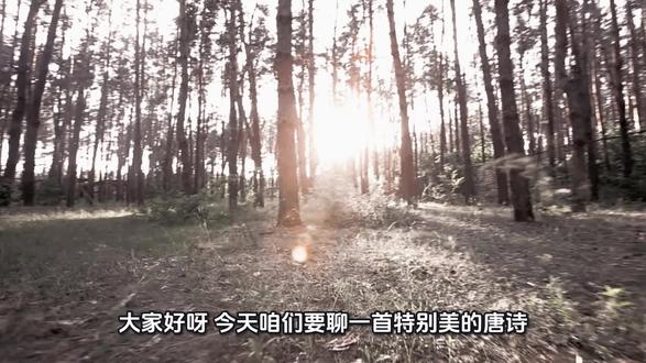 🔥“此情可待成追忆,只是当时已惘然”——中国文学史上最“猜不透”的一首诗,终于有人讲透了!#古诗词#李商隐 #锦瑟 #诗词解读 #情感共鸣 #涨知识