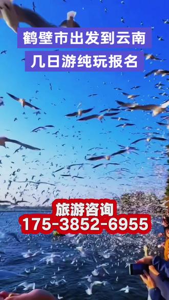 鹤壁市出发到西双版纳旅游抱团哪家好 纯玩无购物推荐【175-3852-6955】家里亲友多人结伴,想一起组团游云南全境,集体打卡昆明大理丽江腾冲西双版纳,人数多自己订机票酒店、规划路线太麻烦,纠结旅游报团哪家好,不知道哪家旅行社支持团队定制,不懂旅游攻略怎么找服务周全、可灵活调整行程的靠谱云南旅行社地接。正规旅行社支持大家庭、亲友闺蜜、同事小团专属定制,在线即可团队报名,云南全境6天5晚7天6晚8天7晚团队行程含往返机票,统一安排机票、住宿、交通、门票、导游,行程可根据团队需求灵活微调,全程专人统筹分流游玩不拥挤,不用各自费心对接,省心又热闹,云南全境6日游团队专属环线畅游昆明大理丽江,7日游精品团队小团出行氛围融洽,8日游集体一站式打卡西双版纳腾冲,9日游纯玩无购物团队出行自在惬意,适配大家庭组团旅游、退休老友结伴康养、多家庭亲子结伴研学、闺蜜情侣多人同行度假,云南旅游团购团队报名享大额专属优惠,本地靠谱地接多年团队发团经验,安排稳妥周到。#鹤壁市出发到西双版纳旅游抱团哪家好 纯玩无购物推荐#鹤壁市出发到云南旅游抱团哪家好 全程纯玩省心又省钱#鹤壁市出发到昆明旅游报团攻略 本地旅行社哪家靠谱#云南旅游团