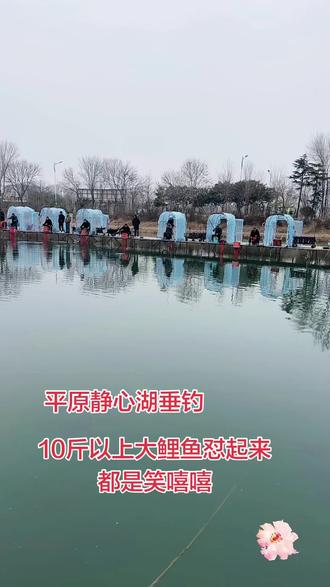 开心你就来,