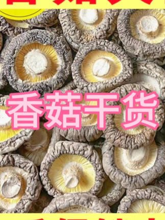 #香菇 #香菇种植 #香菇干货 #好物分享